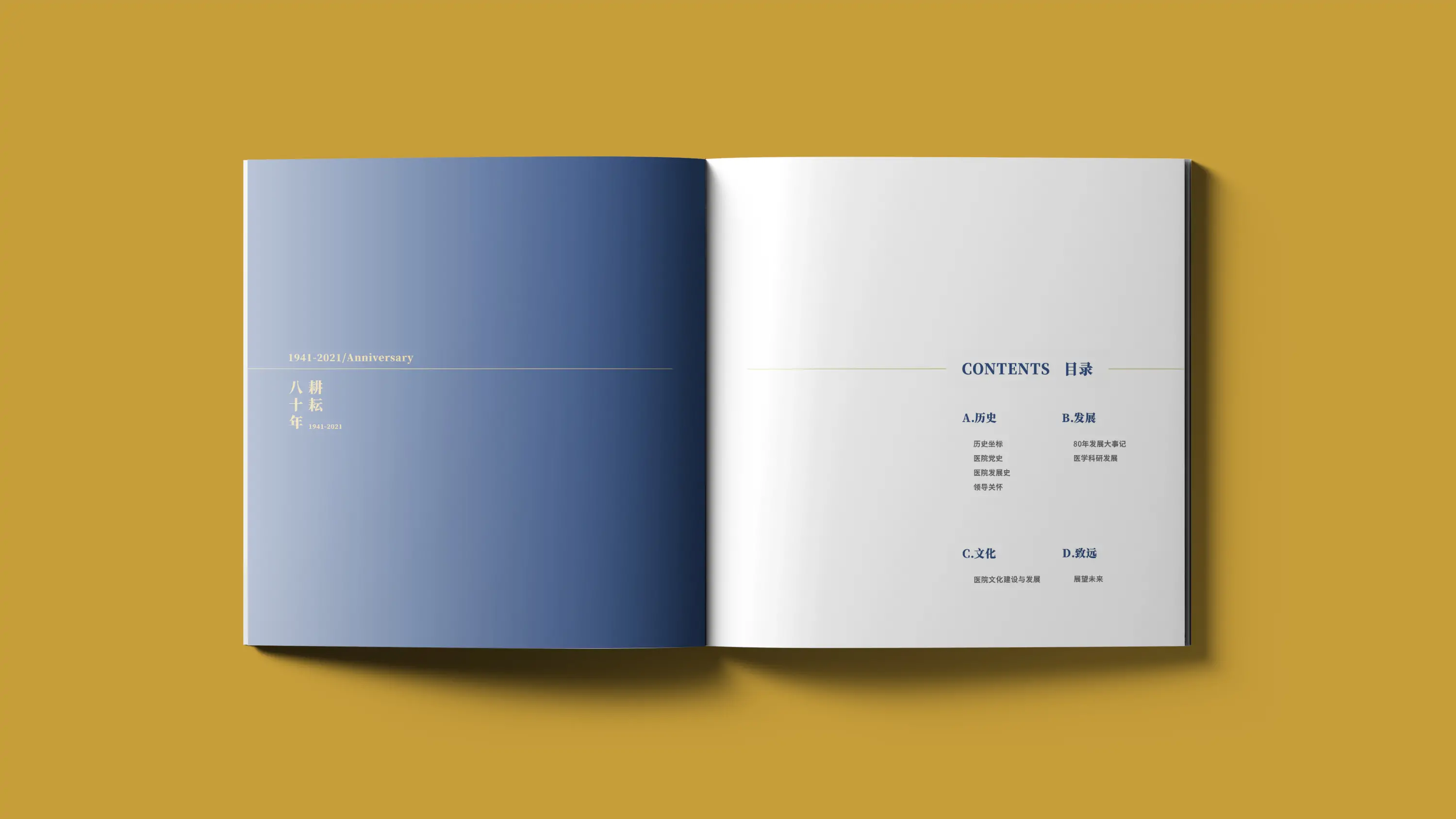 医院品牌宣传画册设计与印刷制作 (5).webp