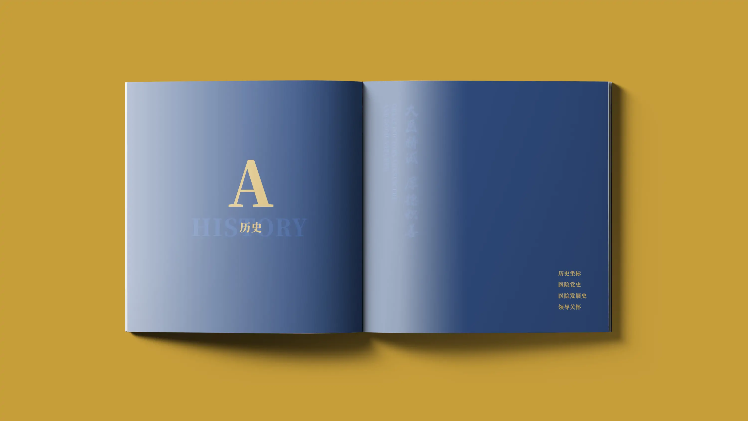 医院品牌宣传画册设计与印刷制作 (4).webp