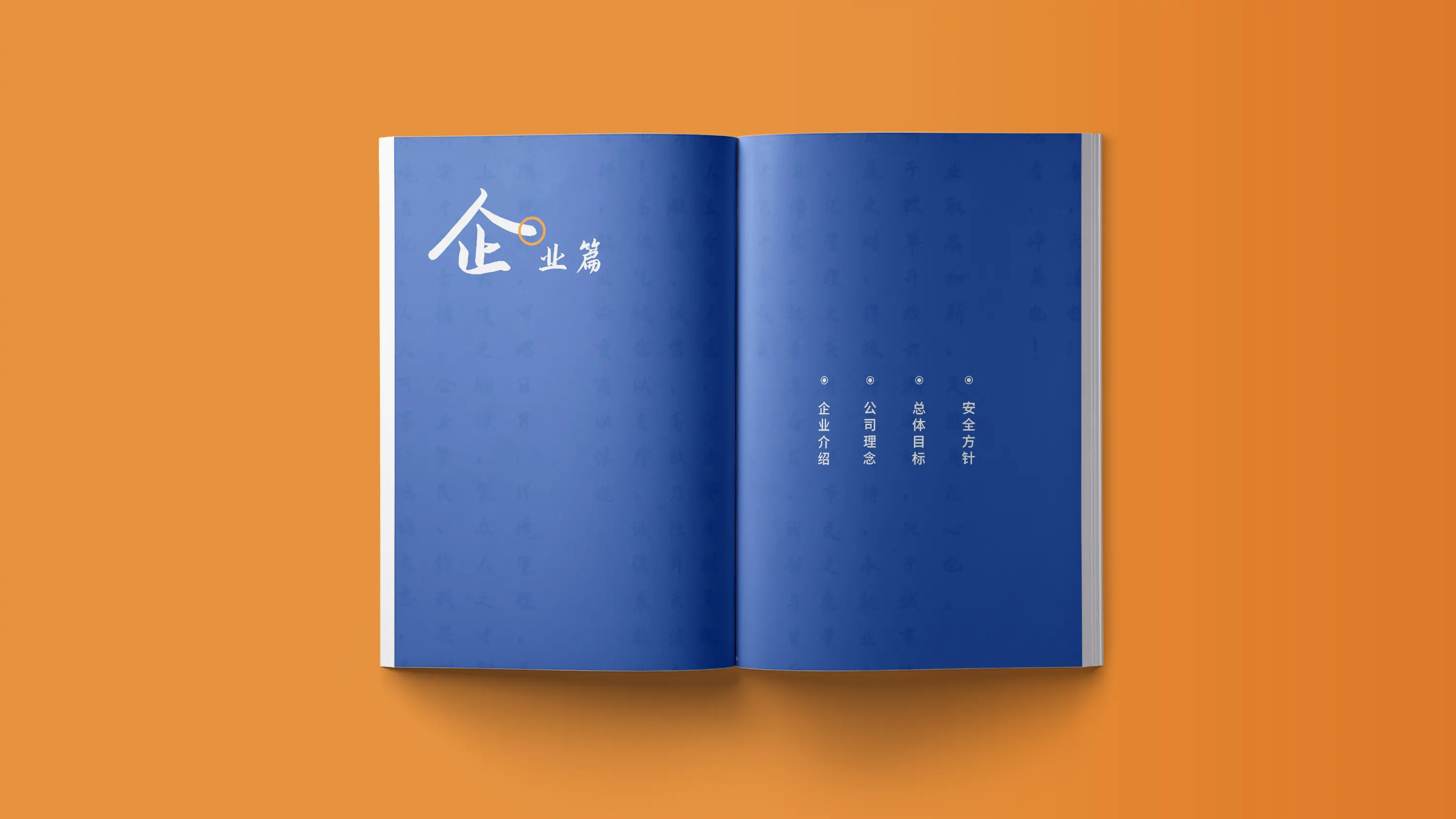 环保行业宣传画册设计与印刷 (2).webp