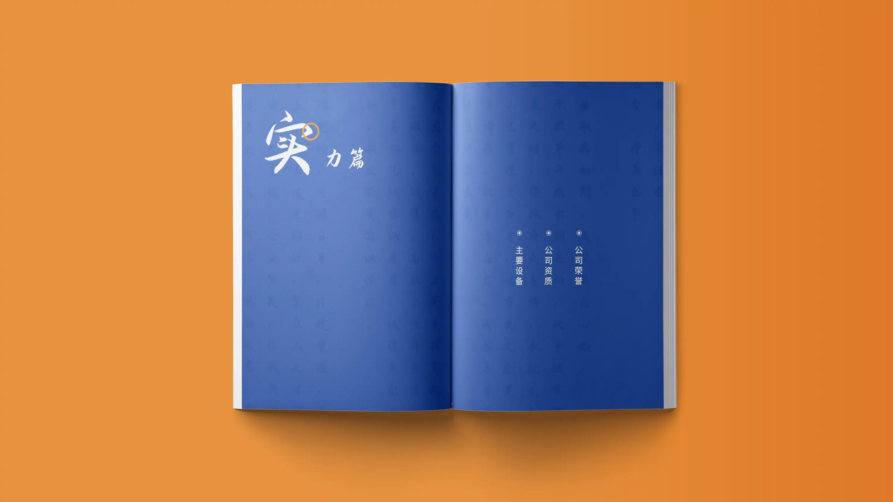 环保行业宣传画册设计与印刷 (8).webp