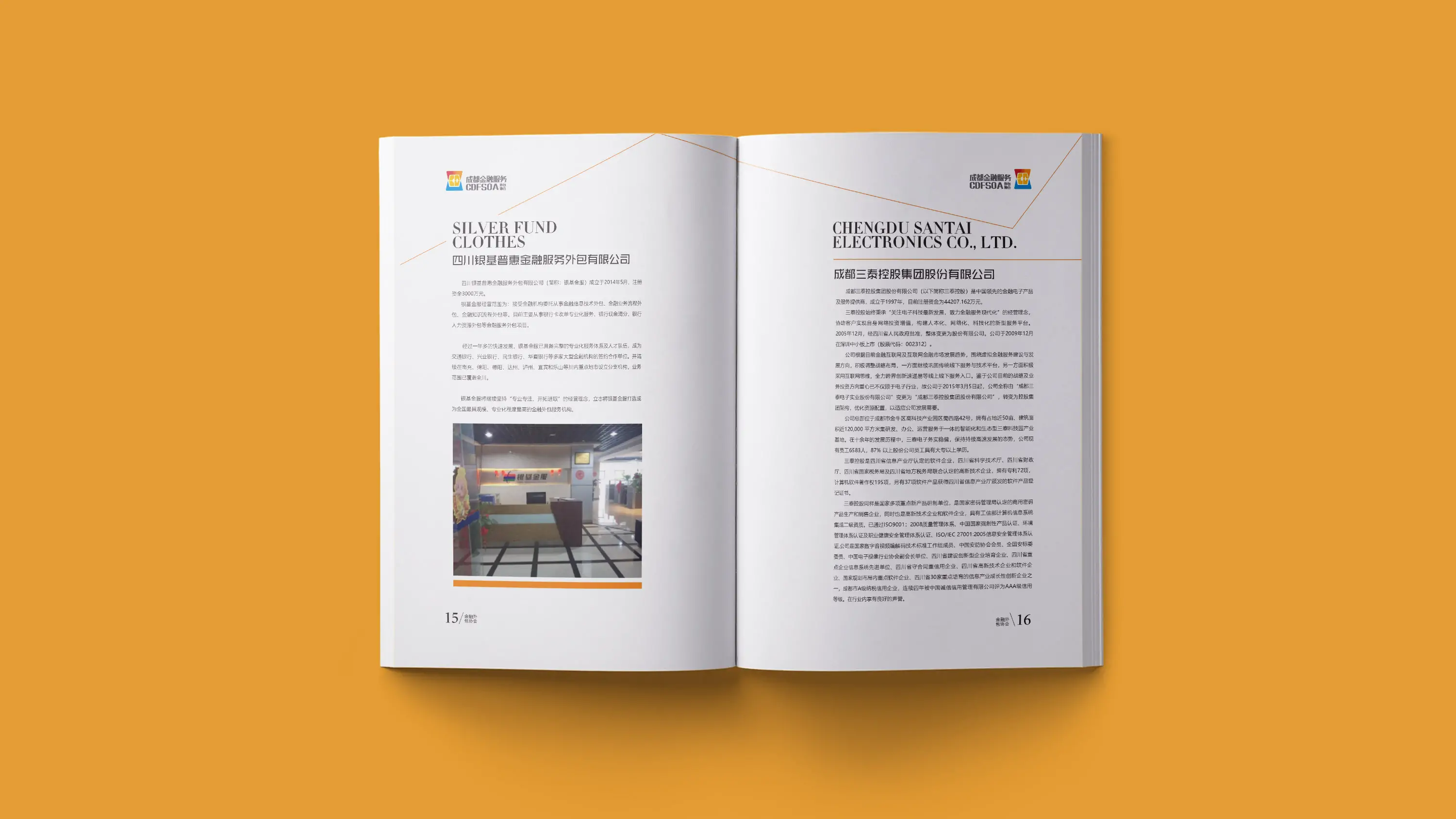 金融行业宣传画册设计 (7).webp